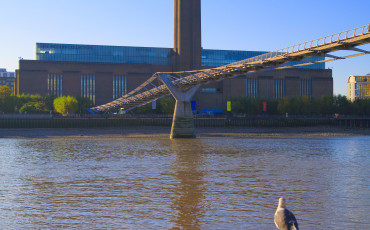 Tate Modern: View from the banks of the Thames River with Millennium Bridge in forefront.