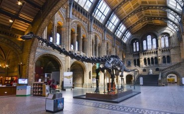 Natural History Museum