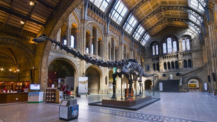 Natural History Museum