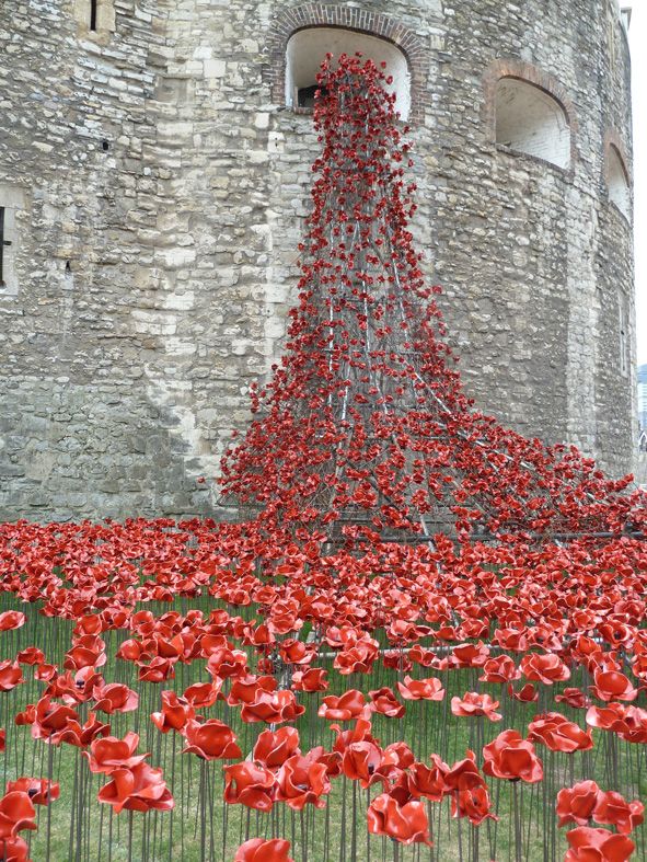 Tower of London: Seas of Red installation