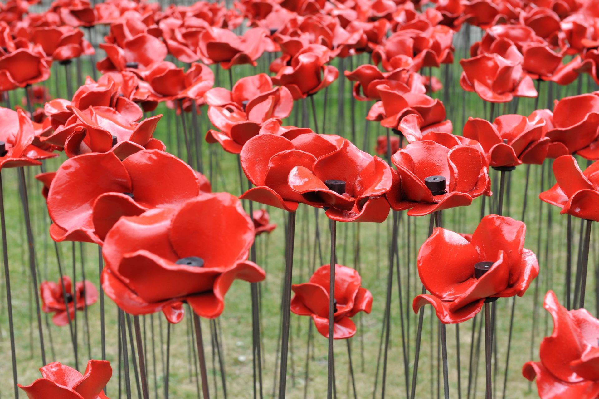 Tower of London: Seas of Red installation