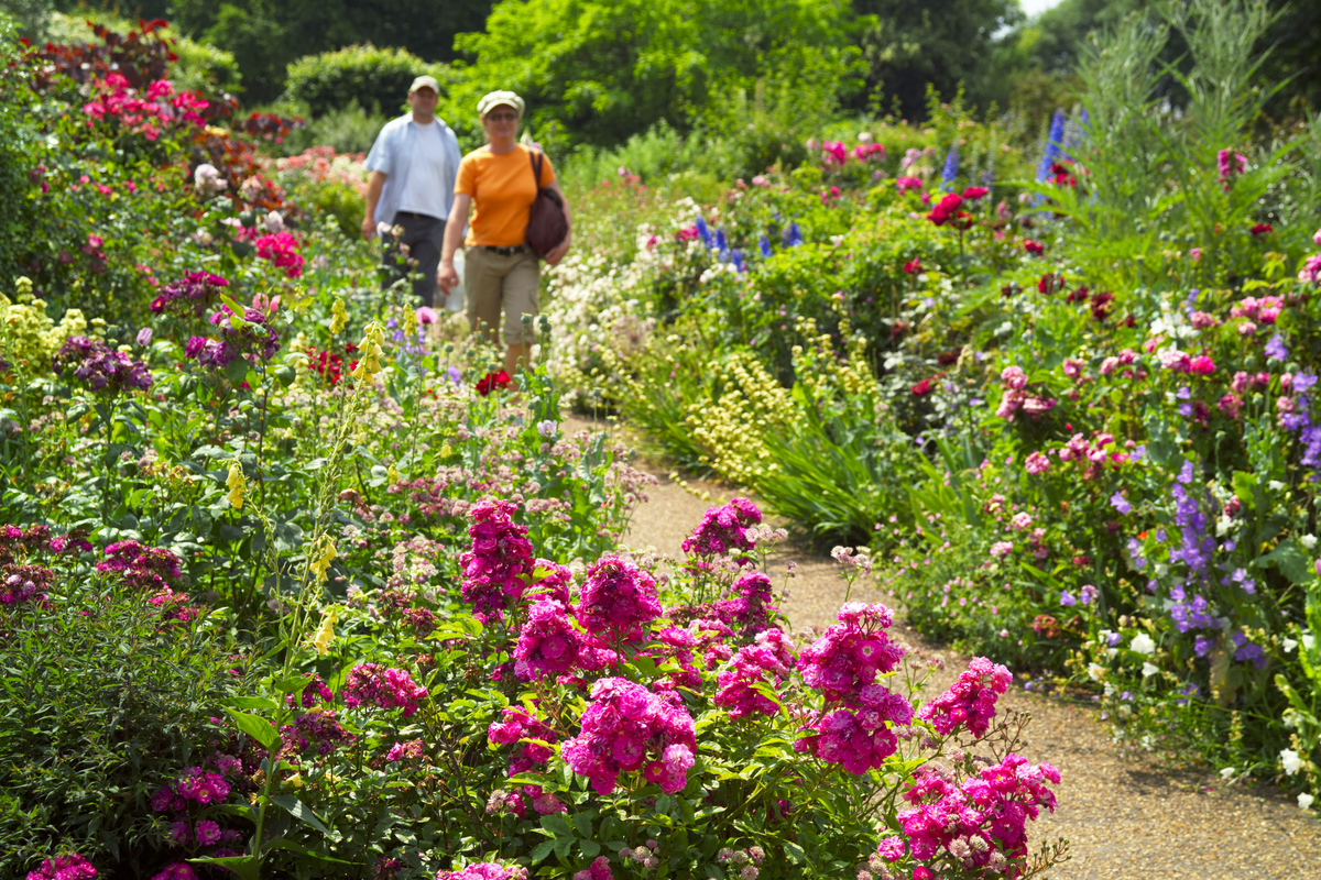 Couple enjoy flowerbeds in London's Hyde Park