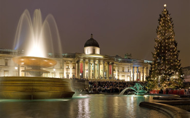 Trafalgar Square Christmas Tree