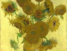 National Gallery - Sunflower by Vincent Van Gogh. Photo Credit: ©National Gallery, London.