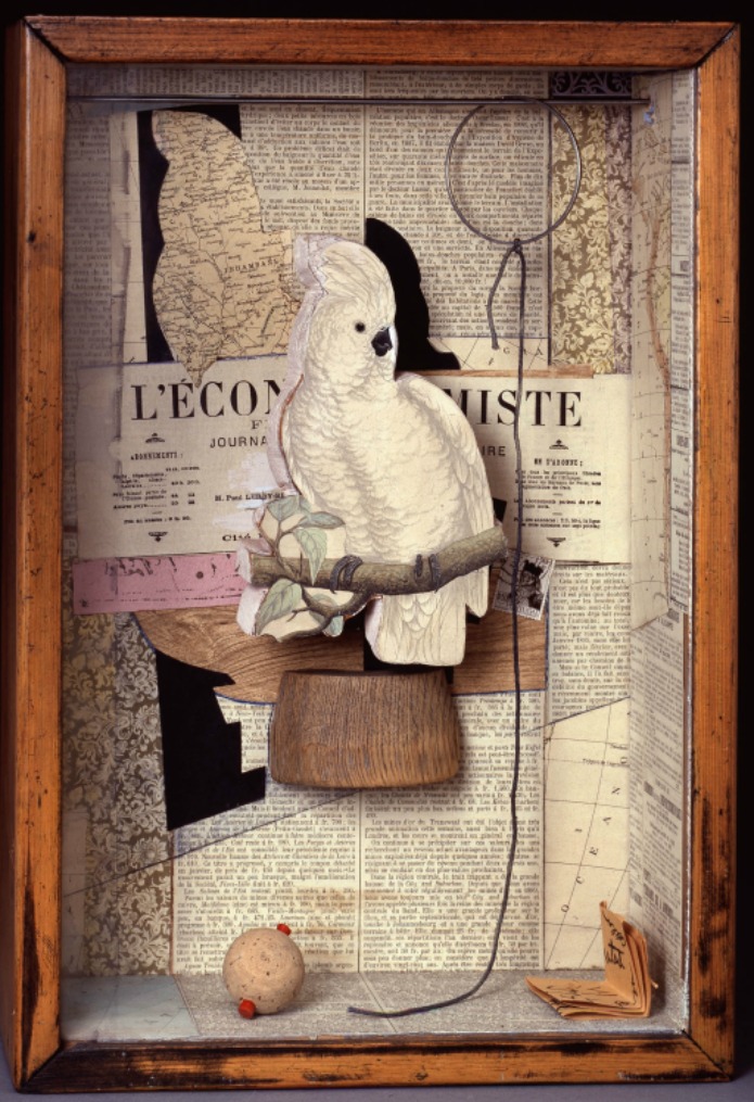 Royal Academy - A Parrot for Juan Gris - Joseph Cornell