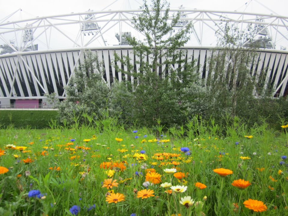 London Olympic Park