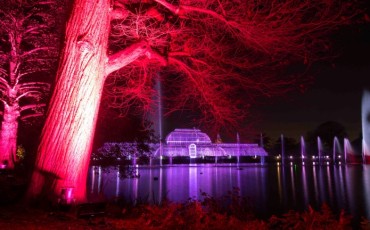 Christmas at Kew Gardens