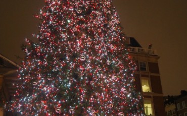 Covent Garden in London Christmas Tree 2015. Photo Credit: © Ursula Petula Barzey.