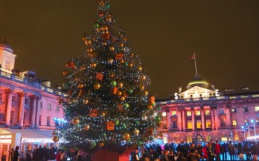 London Christmas Tree 2015 - Somerset House