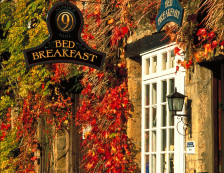 Autumnal colours on display on a bed and breakfast in Stow-on-the-Wold in the Cotswolds.