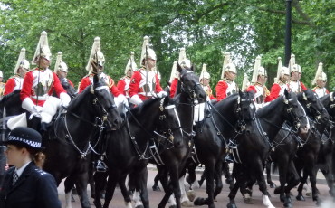 Visite guidée du Londres Royal