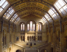 London Architecture - The imposing, Romanesque interior of The Central Hall at London's Natural History Museum, the glass and iron ceiling structure was purposely left exposed by architect Alfred Waterhouse to display the beauty of the building materials. Photo Credit: ©Visit London Images.