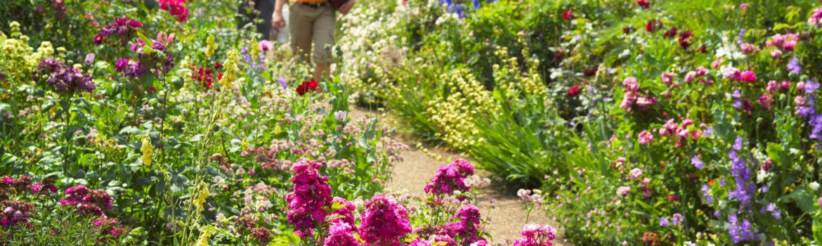 London Royal Parks: Couple enjoying the flowerbeds in London's Hyde Park on a sunny day. Photo Credit: ©Visit London Images.