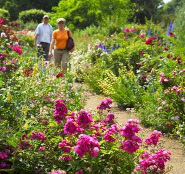 London Royal Parks: Couple enjoying the flowerbeds in London's Hyde Park on a sunny day. Photo Credit: ©Visit London Images.