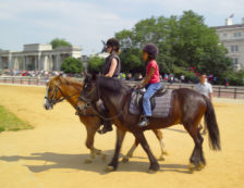 London Royal Parks: Horse riders in London's Hyde Park. Photo Credit: ©Visit London Images.