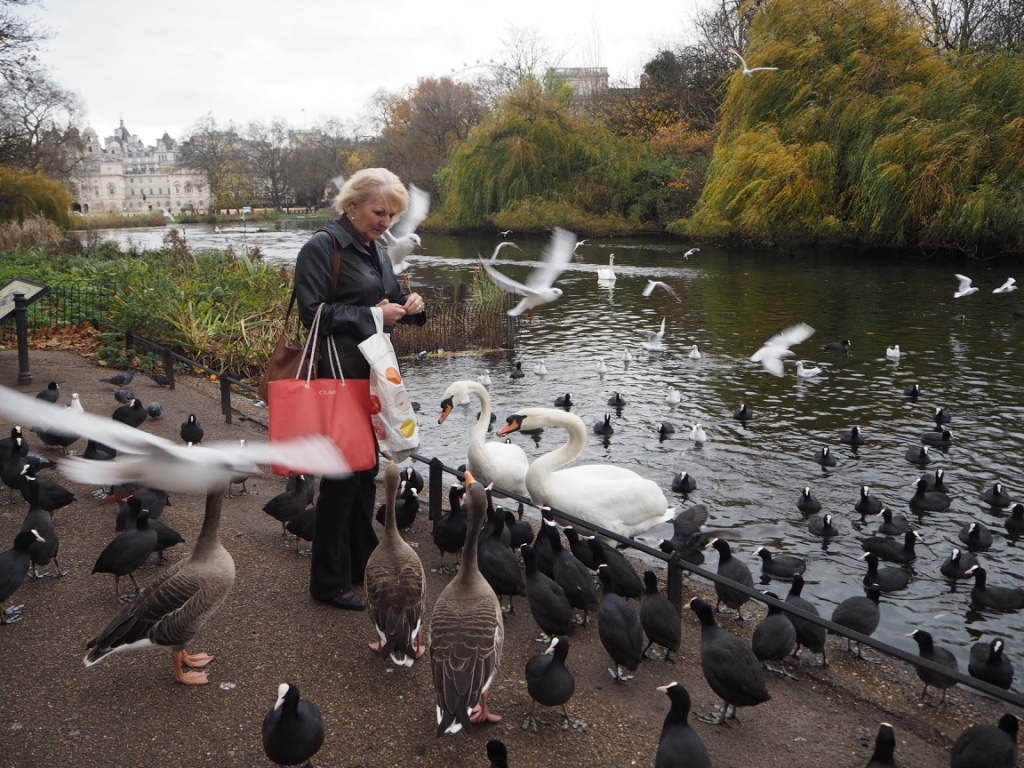 London Royal Parks Lady feeding birds in St James’s Park. Photo Credit