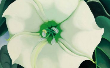 Georgia O’Keeffe 1887-1986, Jimson Weed/White Flower No. 1 1932. Photo Credit: ©2016 Georgia O'Keeffe Museum/DACS, London.