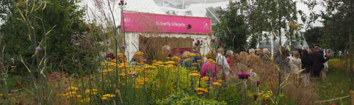 2016 RHS Hampton Court Palace Flower Show: Butterfly Dome Entrance. Photo Credit: ©Ursula Petula Barzey.