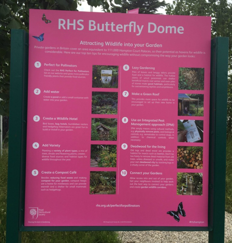 2016 RHS Hampton Court Palace Flower Show: Butterfly Dome - Guidance on attracting butterflies and other wildlife in garden. Photo Credit: ©Ursula Petula Barzey.