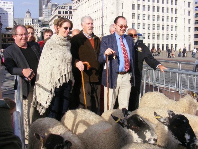 Sheep drive over London Bridge. Photo Credit: ©David Jagger.