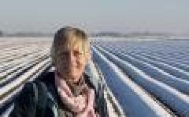 Marianne Swienink-Havard