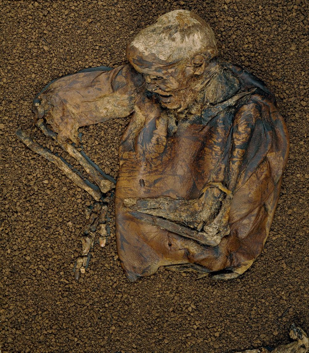 Lindow Man at British Museum in London. Photo Credit: © The Trustees of the British Museum.