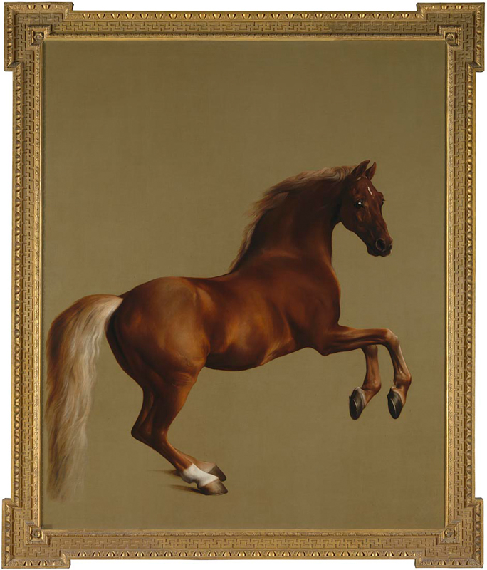 The National Gallery: George Stubbs - Whistlejacket. Photo Credit: © The National Gallery, London