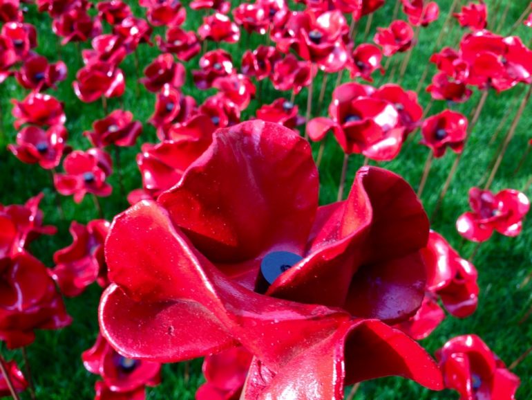 Tower of London_Blood Swept Lands and Seas of Red Poppies. Photo Credit: © Ursula Petula Barzey.