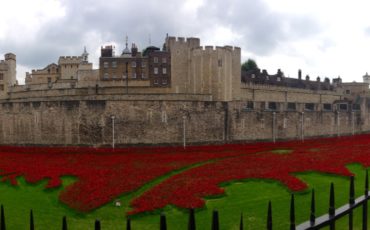 Tower of London: Blood Swept Lands and Seas of Red Poppies. Photo Credit: © Ursula Petula Barzey.