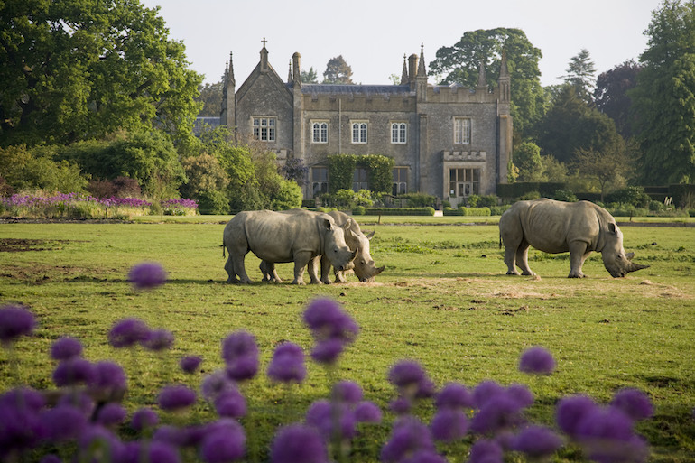 The Cotswolds: View of the Cotswold Wildlife Park in May 2010 with Rhino's in foreground. Photo Credit: © Andrew Lawson via Visit England / Cotswold Wildlife Park. 