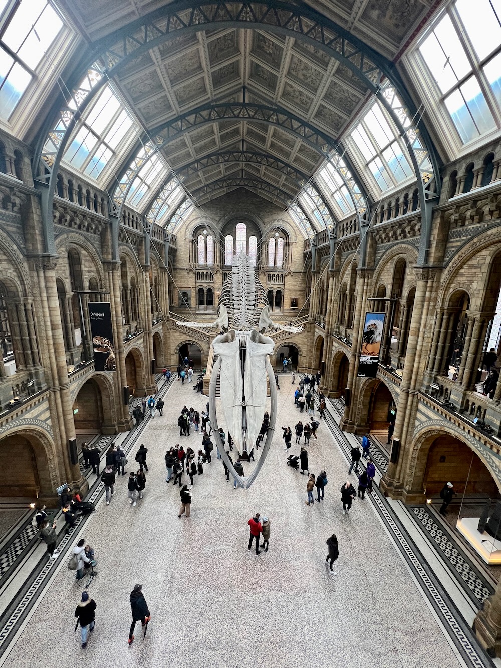 Hope the blue whale skeleton at the Natural History Museum in London. Photo Credit: © Ursula Petula Barzey.