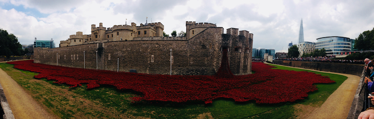 Ceramic red poppies in moat at Tower of London: Blood Swept Lands and Seas of Red. Photo Credit: © Ursula Petula Barzey.