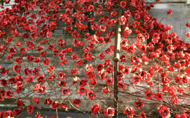 Imperial War Museum London - Weeping Windows Poppies Tour. Photo Credit: © Ursula Petula Barzey.