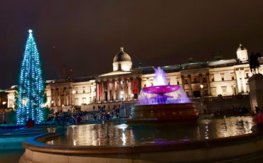 2018 Trafalgar Square Christmas Tree. Photo Credit: © Ursula Petula Barzey.