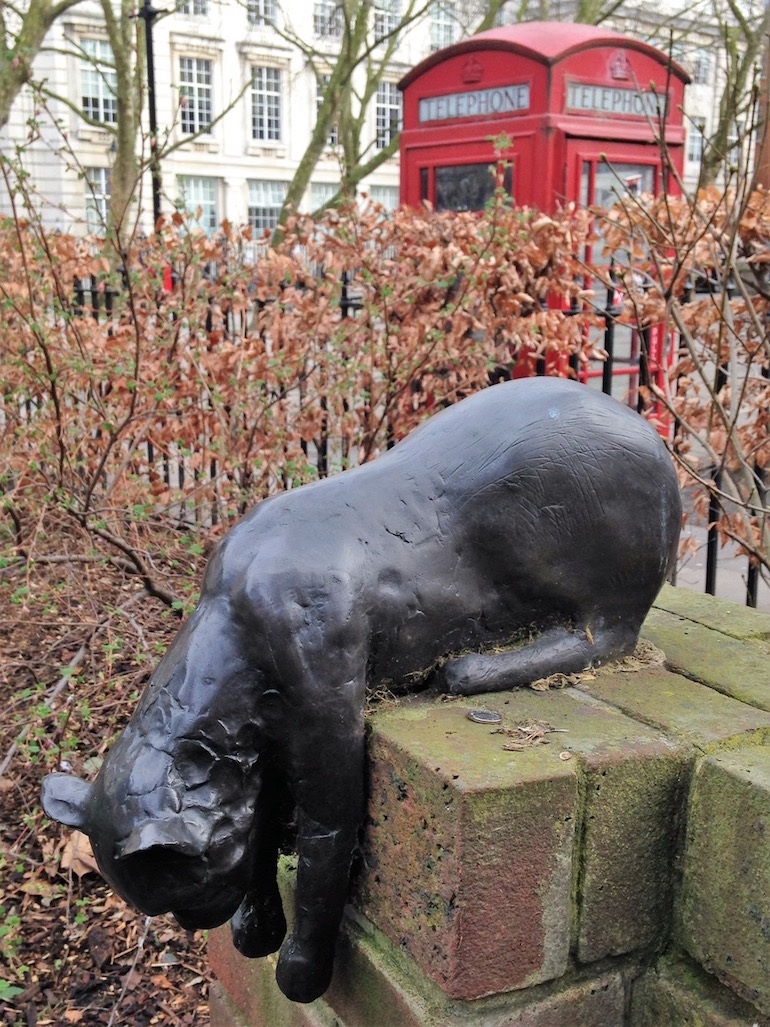 Famous Cats in London: Sam the Cat in Queen Square. Photo Credit: © Sue Hyde.