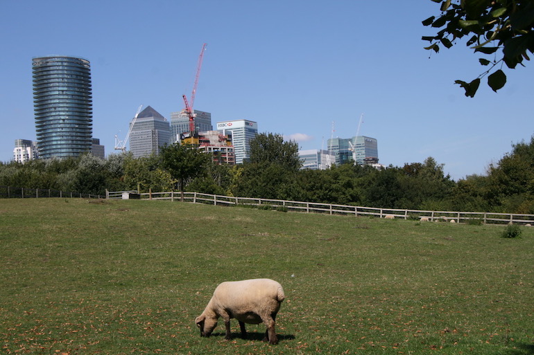 Mudchute City Farm. Photo Credit: © Geoff Marshall.