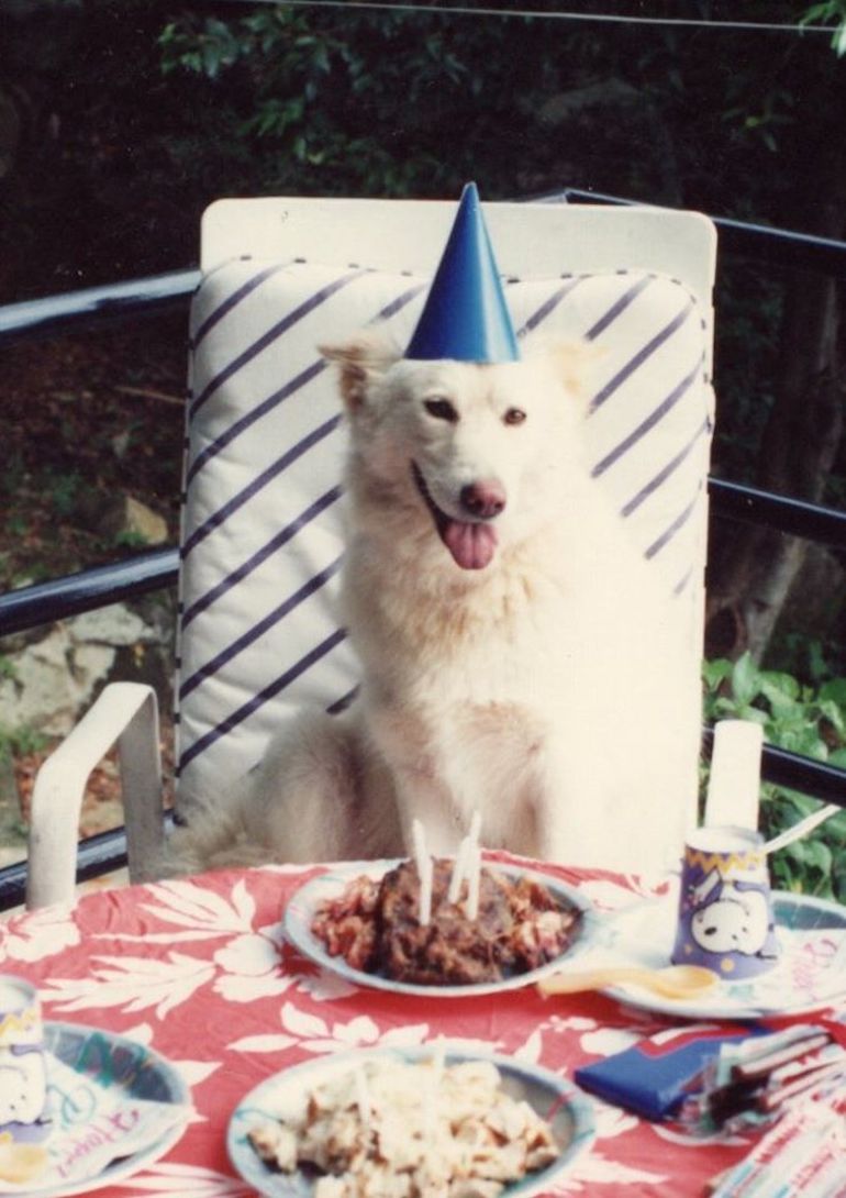 Whitey Oceandog at her birthday No 1 Tong Fuk Village, Lantau Hong Kong (1991). Photo Credit: © Steve Fallon.