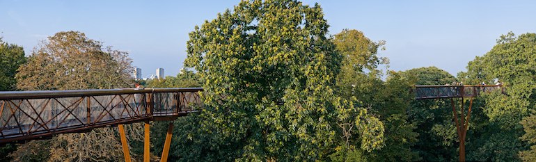 A panoramic view of the treetop walkway at Kew Gardens in London. Photo Credit: © Diliff via Wikimedia Commons.