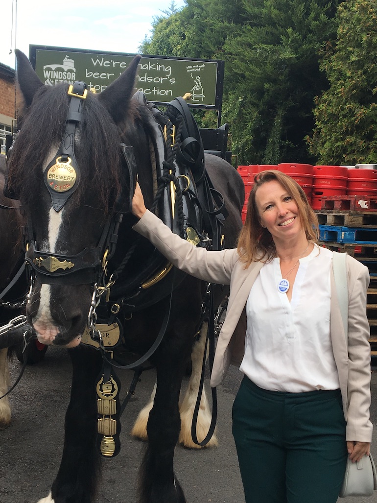 Major the dray horse and Ildi Pelikan. Photo Credit: © Ildi Pelikan.