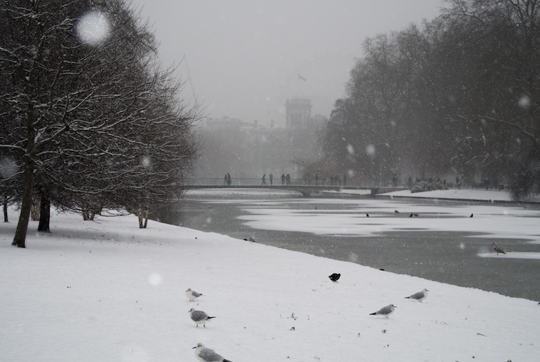 Foreign and Commonwealth Office from St James Park. Photo Credit: © Peter Sigrist via Wikimedia Commons.