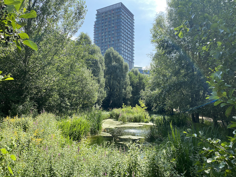 Waterglades at Queen Elizabeth Olympic Park in London. Photo Credit: © Sarah Woods. 