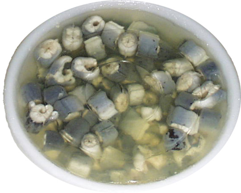Bowl of jellied eels. Photo Credit: © Footballbooks via Wikimedia Commons.
