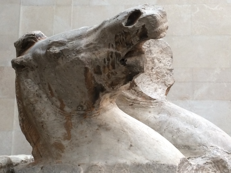 Pediment horse, part of the Parthenon Marbles in the British Museum. Photo Credit: © Edwin Lerner.