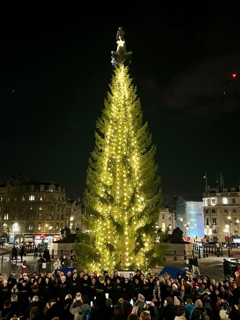 8 Christmas Trees in London for the 2023 Festive Season Guide London