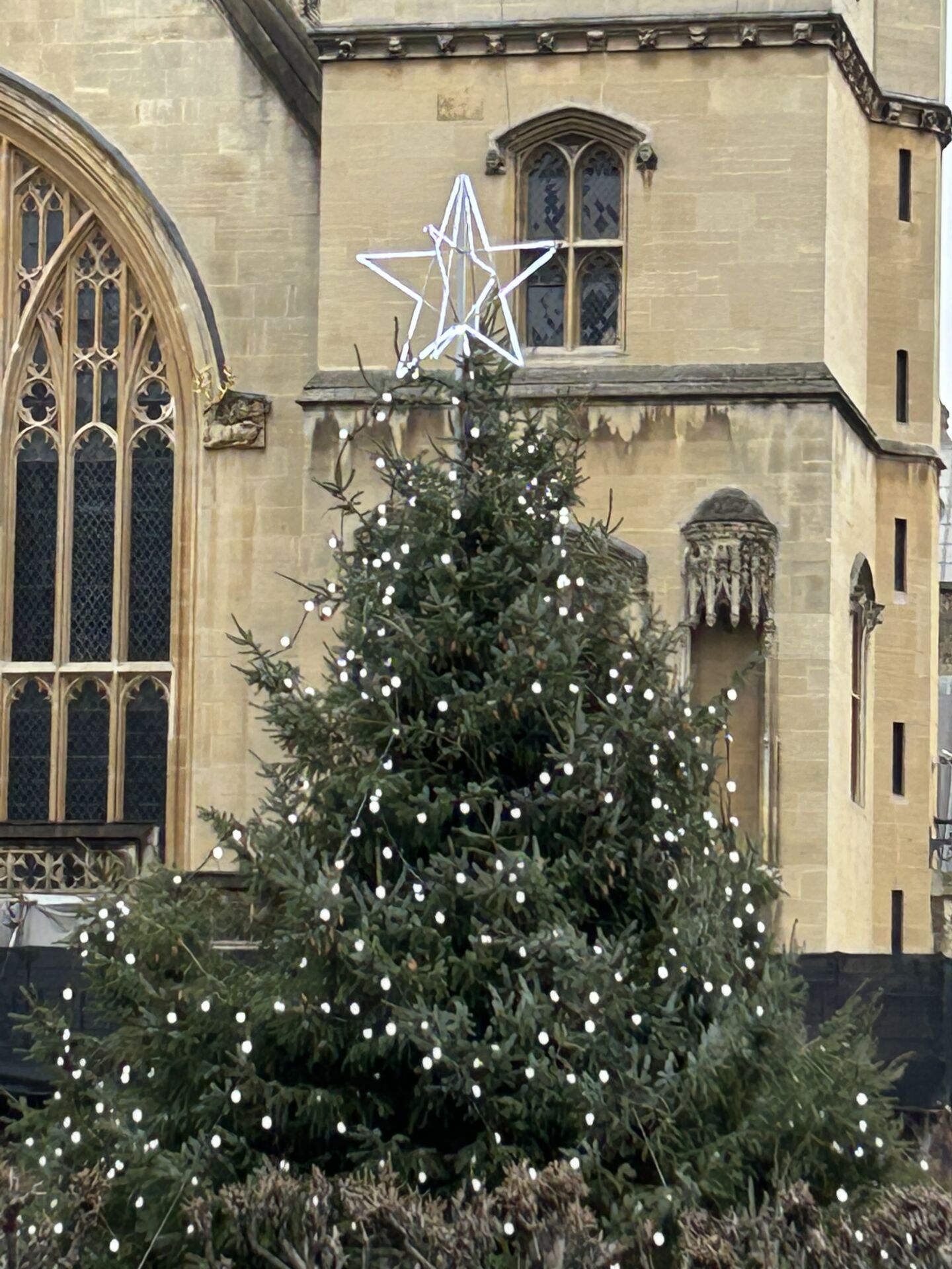 Christmas Tree in Parliament. Photo Credit: © Ursula Petula Barzey.