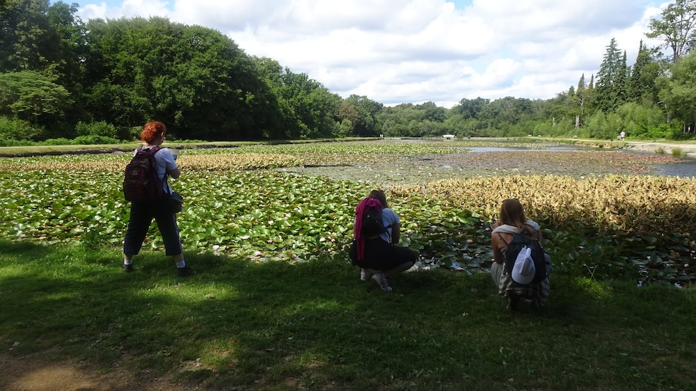 Three ladies taking pictures at Cow Pond in Windsor Great Park. Photo Credit: © Ildi Pelikan.