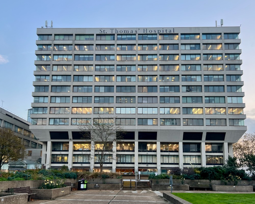 St Thomas Hospital in London. Photo Credit: © Ursula Petula Barzey.